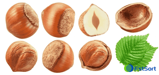 images/1737703515732FstSort roller grading machine.png